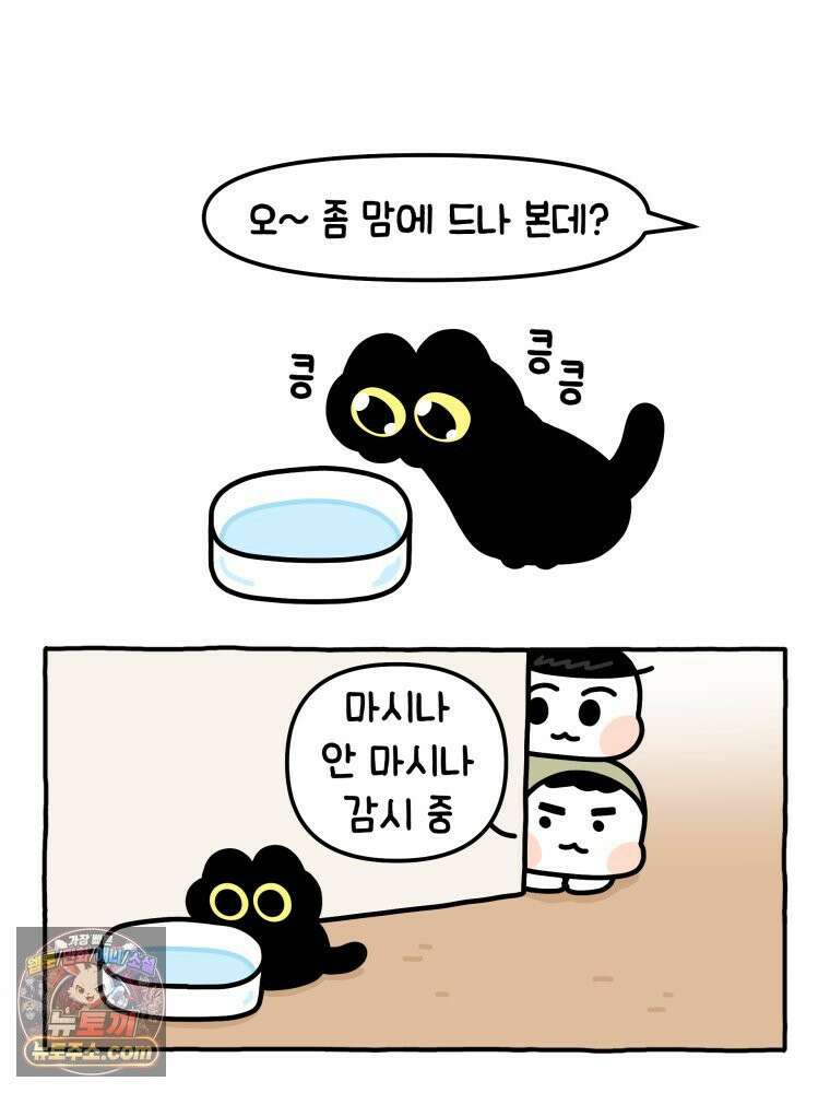 먼지 덩어리 짱덕 15． 깐깐 고양이 24