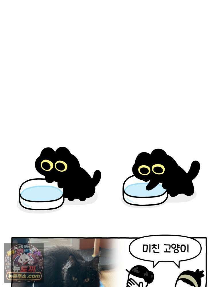 먼지 덩어리 짱덕 15． 깐깐 고양이 25