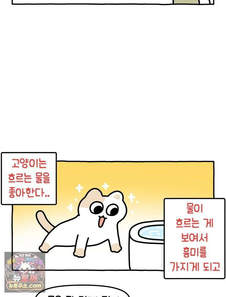 먼지 덩어리 짱덕 15． 깐깐 고양이 30