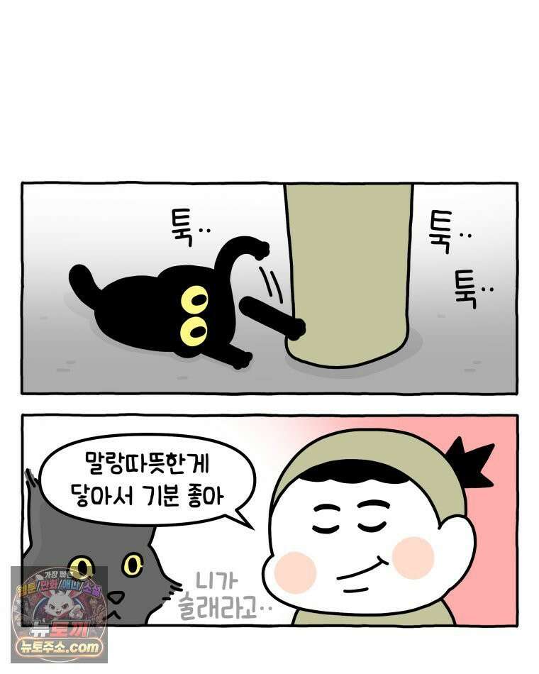 먼지 덩어리 짱덕 37． 예의 바른 짱덕 11