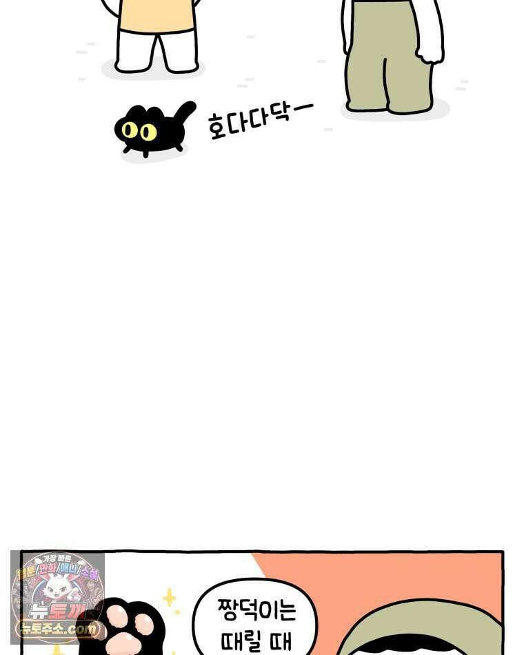 먼지 덩어리 짱덕 37． 예의 바른 짱덕 13