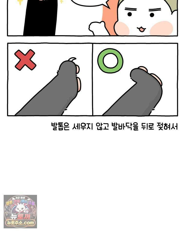 먼지 덩어리 짱덕 37． 예의 바른 짱덕 14