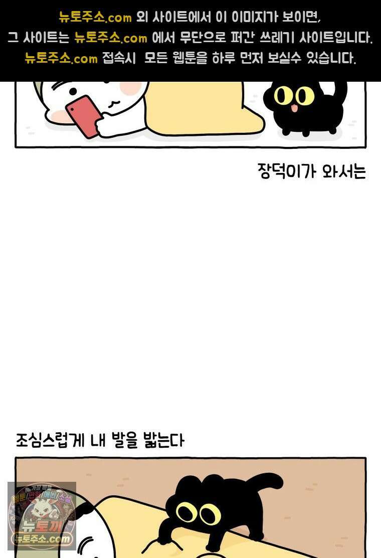 먼지 덩어리 짱덕 37． 예의 바른 짱덕 18