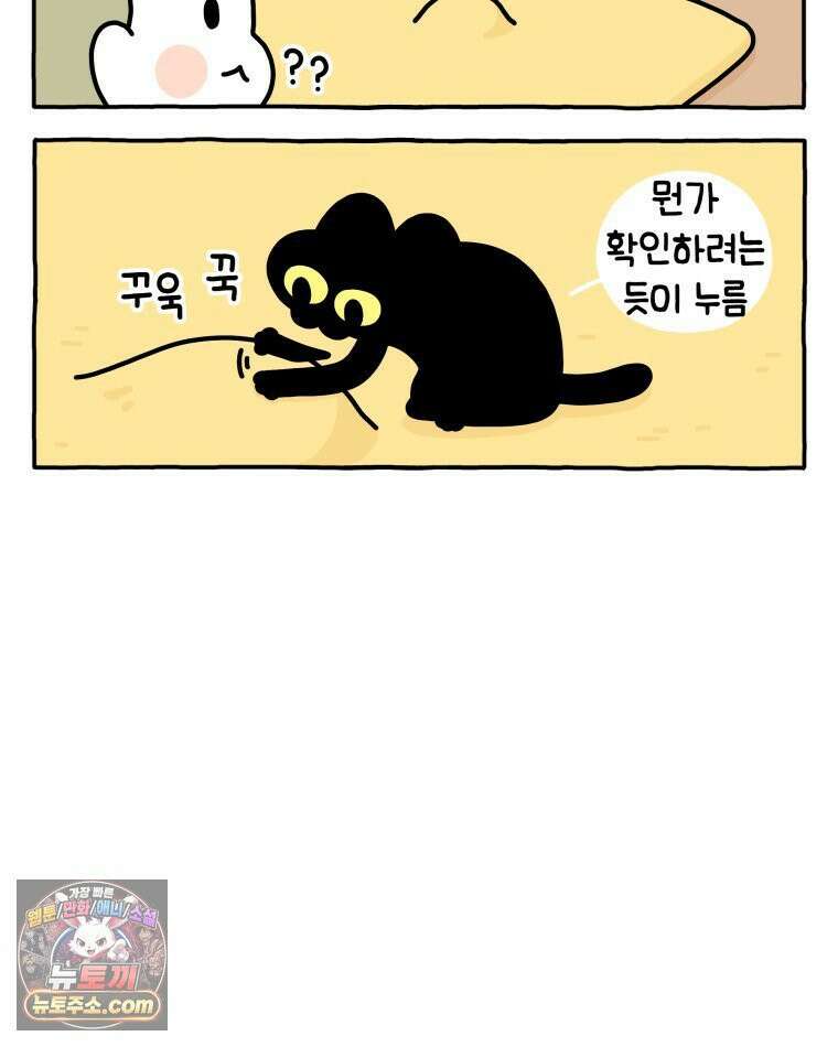 먼지 덩어리 짱덕 37． 예의 바른 짱덕 19