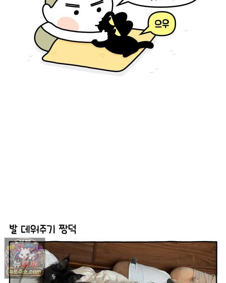 먼지 덩어리 짱덕 37． 예의 바른 짱덕 26