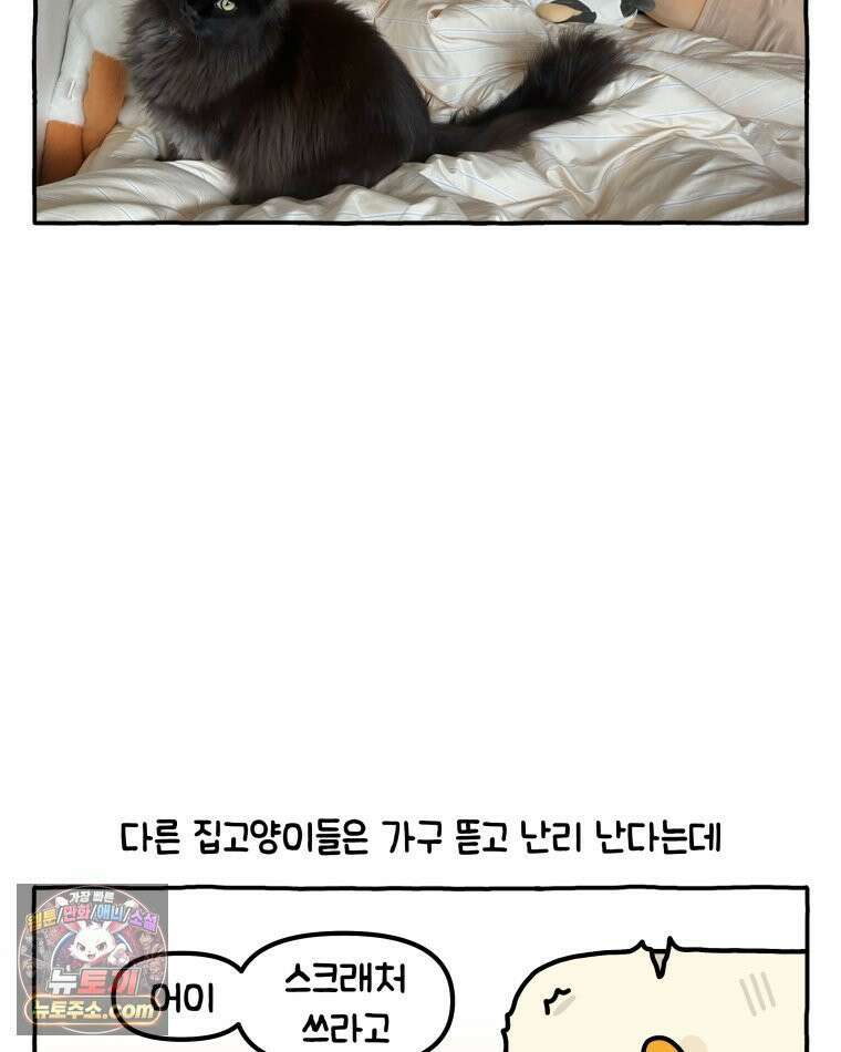 먼지 덩어리 짱덕 37． 예의 바른 짱덕 27