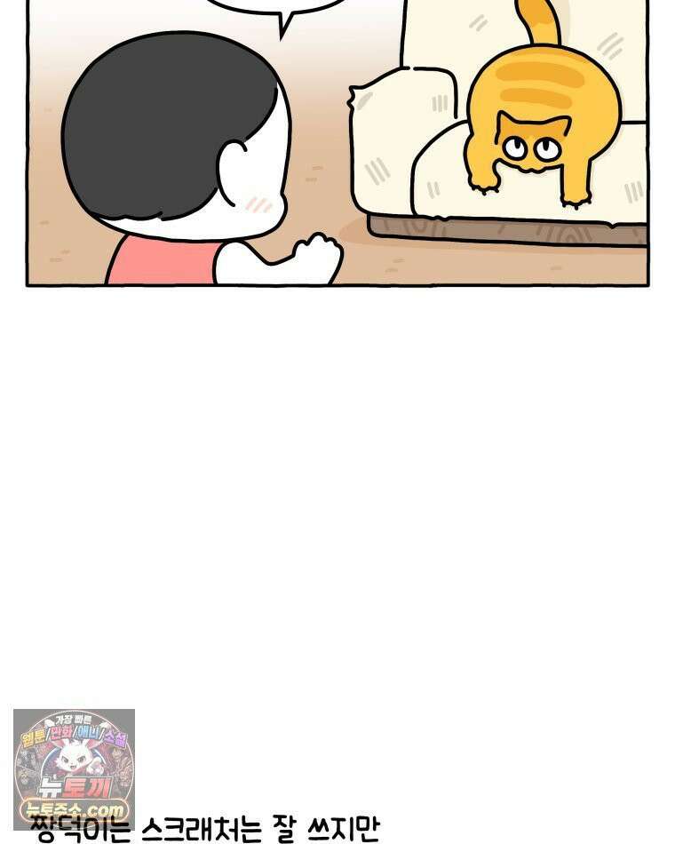 먼지 덩어리 짱덕 37． 예의 바른 짱덕 28