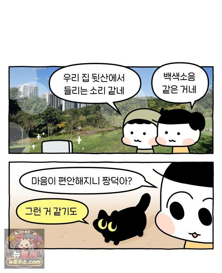 먼지 덩어리 짱덕 49． 환경 풍부화 2 9