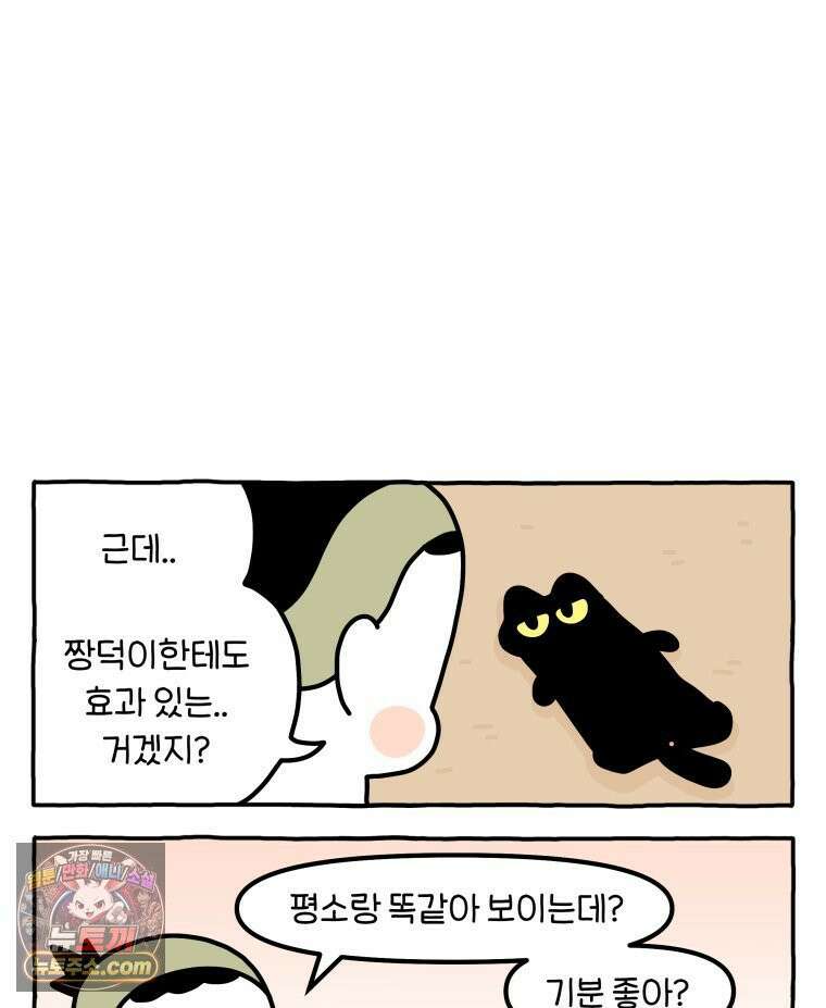 먼지 덩어리 짱덕 49． 환경 풍부화 2 19