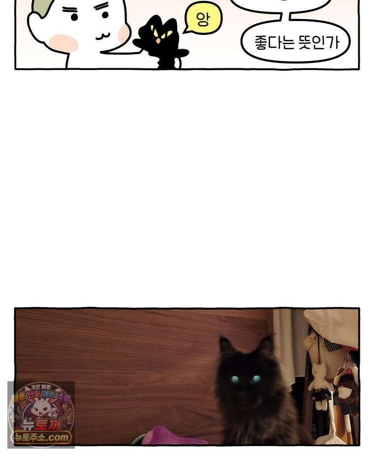 먼지 덩어리 짱덕 49． 환경 풍부화 2 20