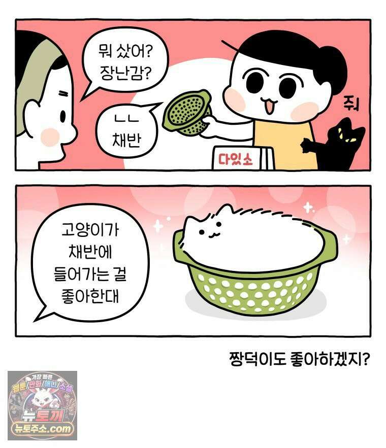 먼지 덩어리 짱덕 49． 환경 풍부화 2 23