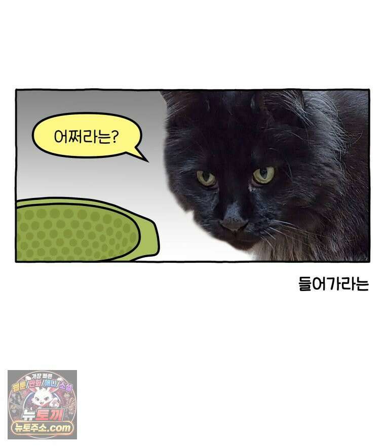 먼지 덩어리 짱덕 49． 환경 풍부화 2 25