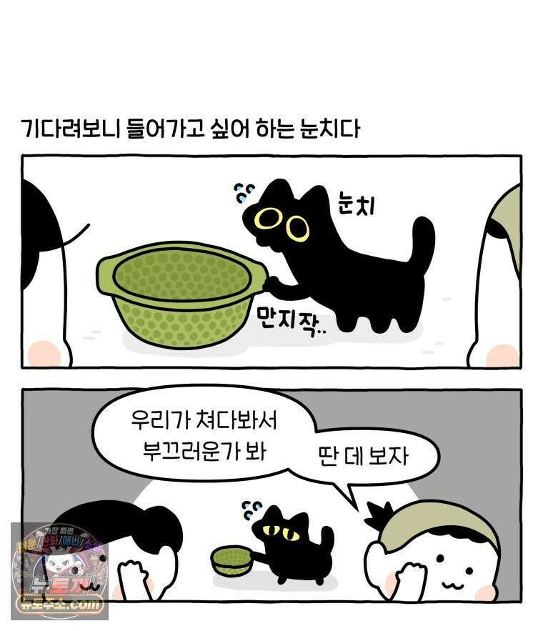 먼지 덩어리 짱덕 49． 환경 풍부화 2 26