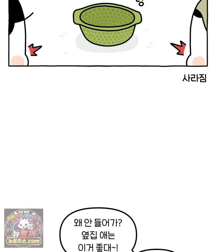 먼지 덩어리 짱덕 49． 환경 풍부화 2 28