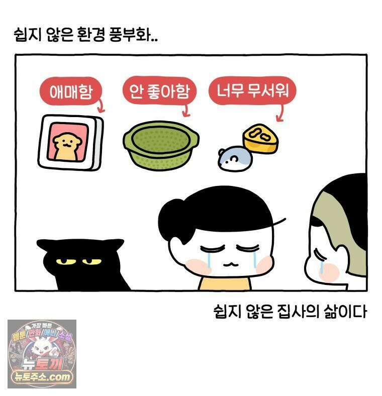 먼지 덩어리 짱덕 49． 환경 풍부화 2 37