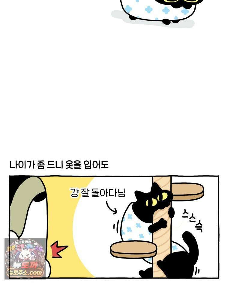 먼지 덩어리 짱덕 59． 고양이 옷 5