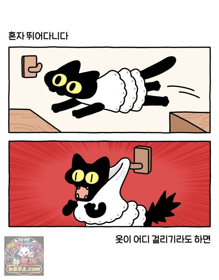 먼지 덩어리 짱덕 59． 고양이 옷 9