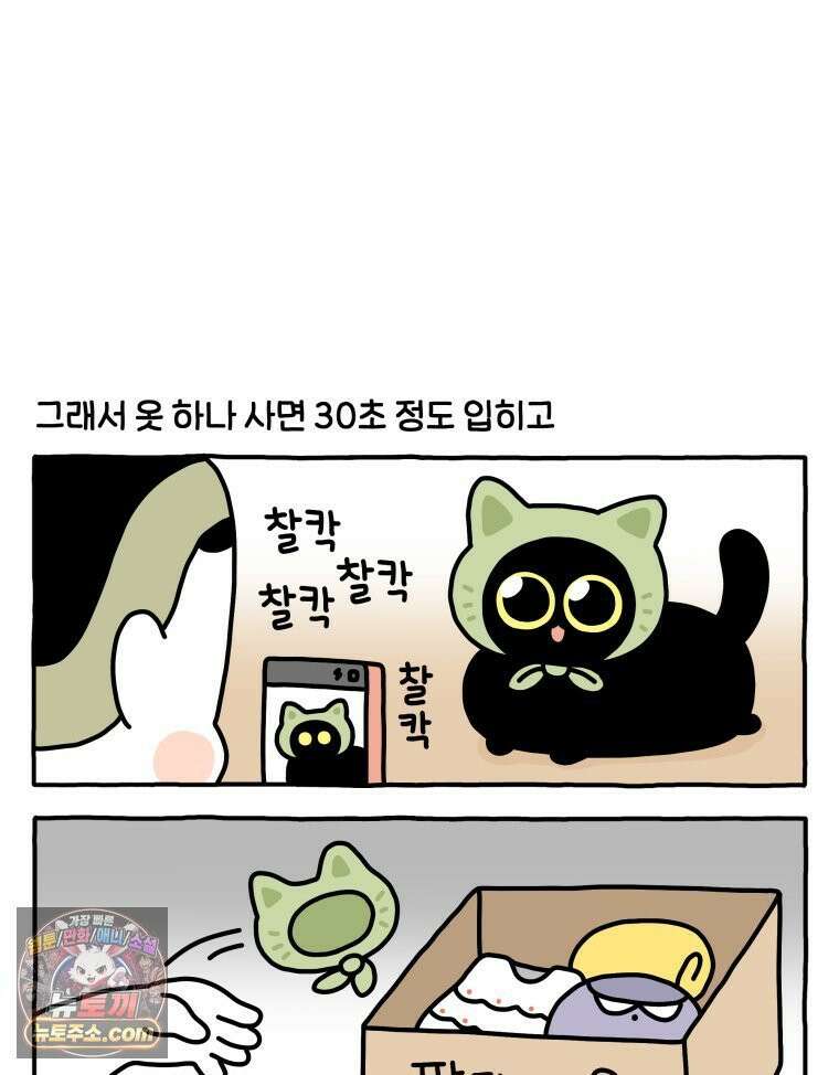 먼지 덩어리 짱덕 59． 고양이 옷 11