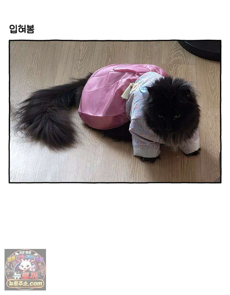 먼지 덩어리 짱덕 59． 고양이 옷 19