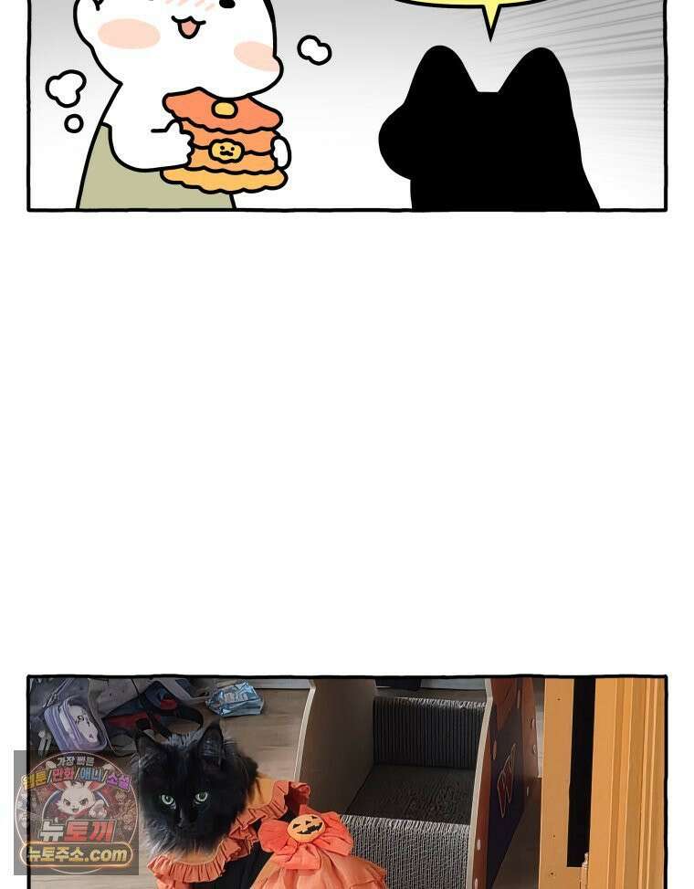 먼지 덩어리 짱덕 59． 고양이 옷 23