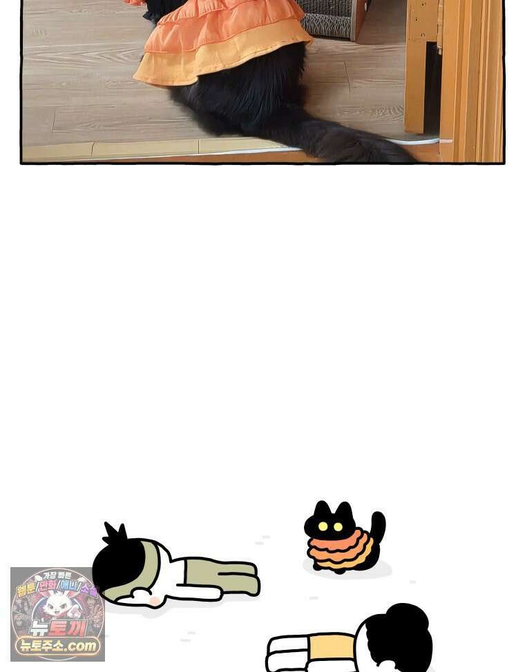먼지 덩어리 짱덕 59． 고양이 옷 24