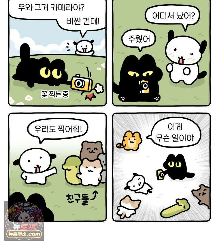 먼지 덩어리 짱덕 59． 고양이 옷 33