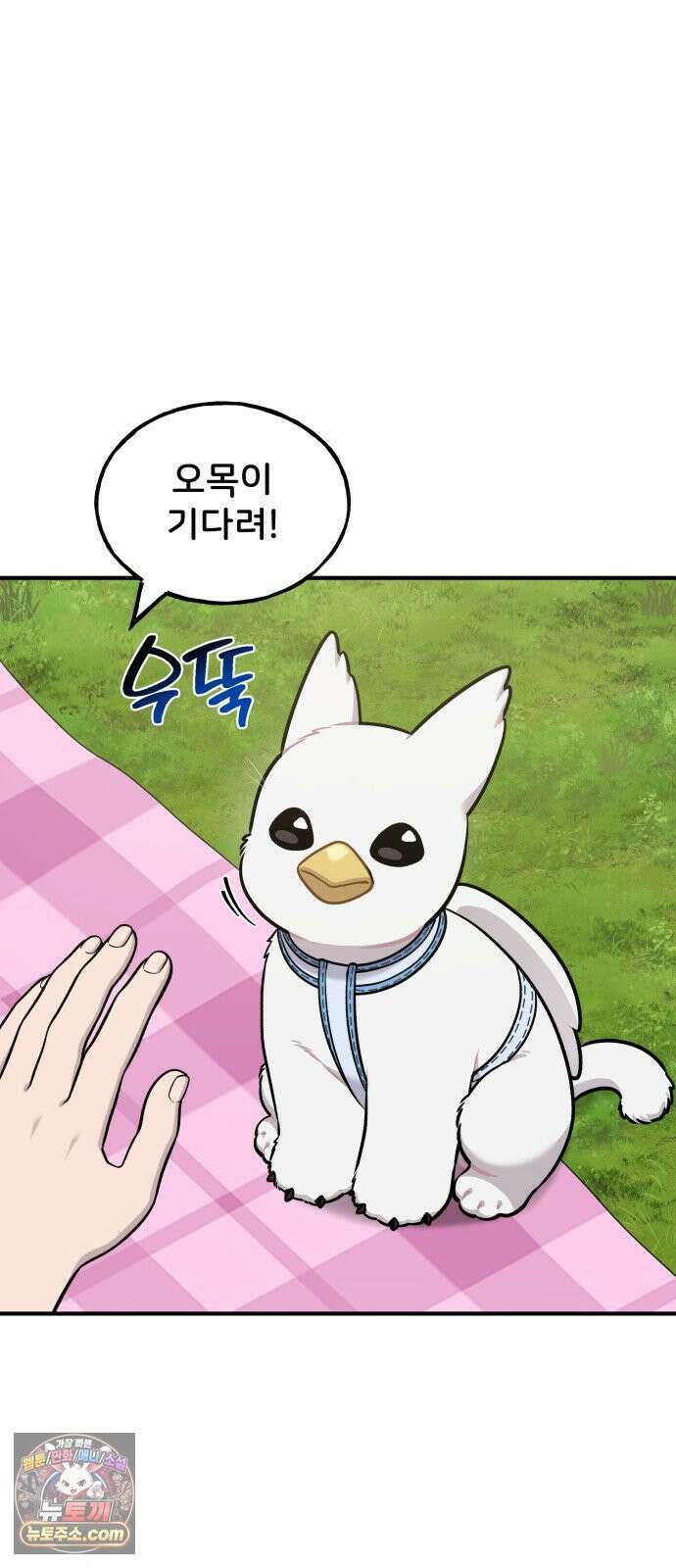 안녕 오목눈이 그리핀! 45화- 철용 축제 15