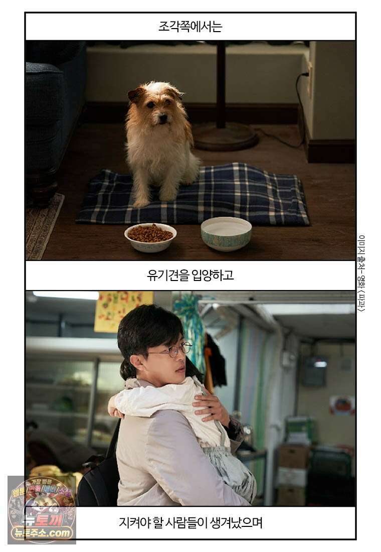 부기영화 306화． 파과 38