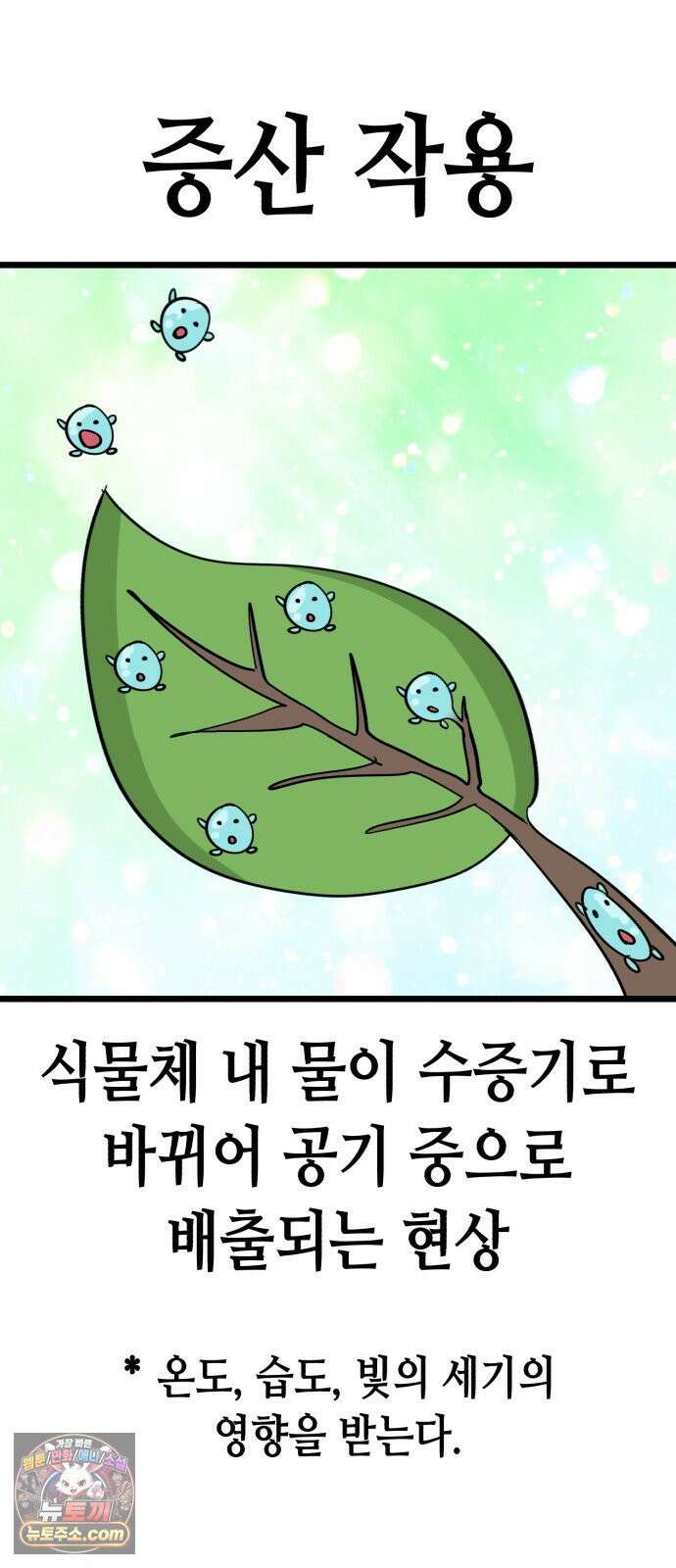 너의 완두콩을 먹고 싶어! 50화 - 젖은 거 계속 입고 있으면 56