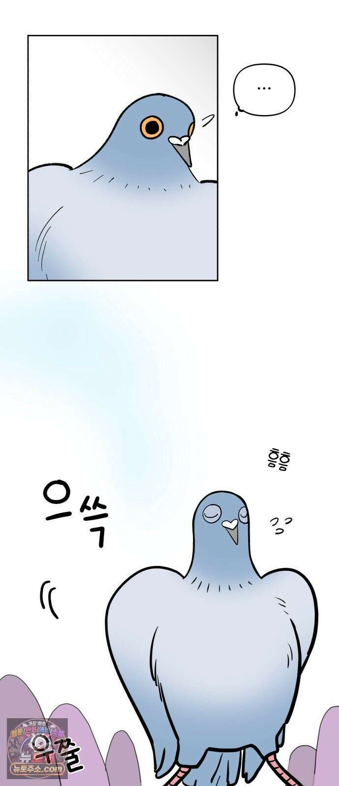 성북구 비둘기 이헌서 84화 11