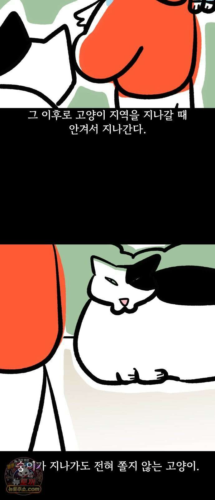 개집사 146화: 뚠뚠한 고양이 5