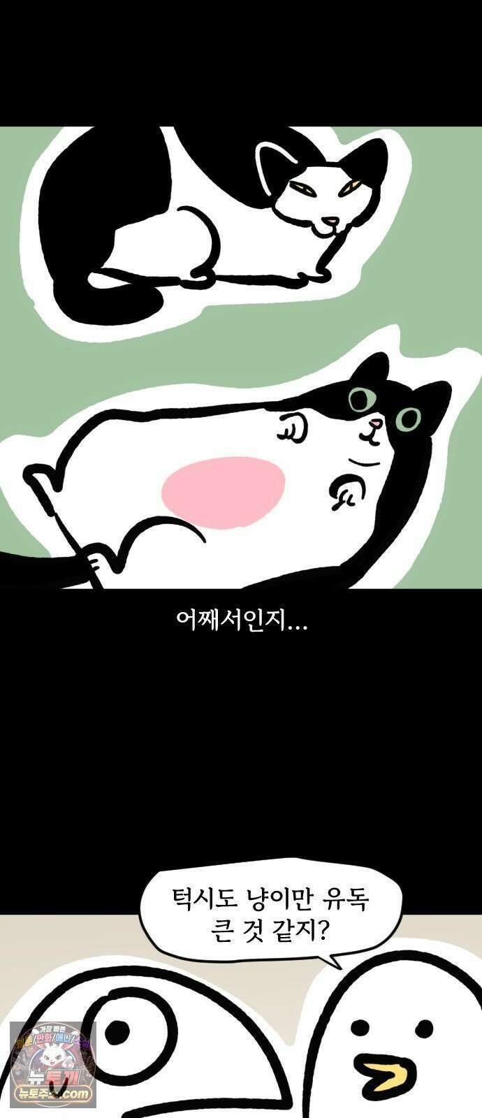 개집사 146화: 뚠뚠한 고양이 11