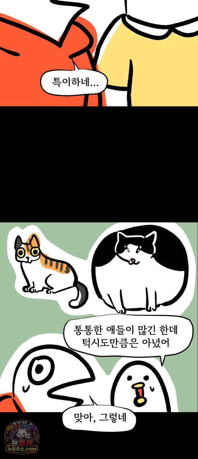 개집사 146화: 뚠뚠한 고양이 12