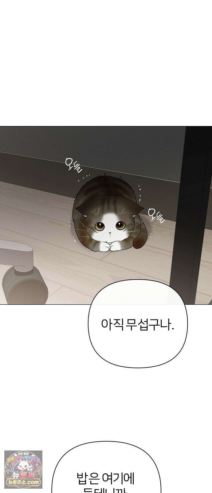 남주의 정석 84화 13