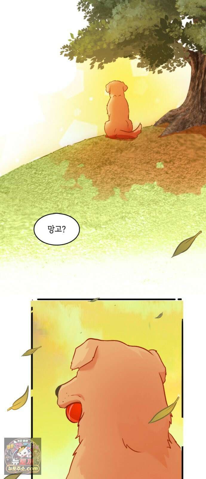너랑 걷는 개 좋아 69화 2
