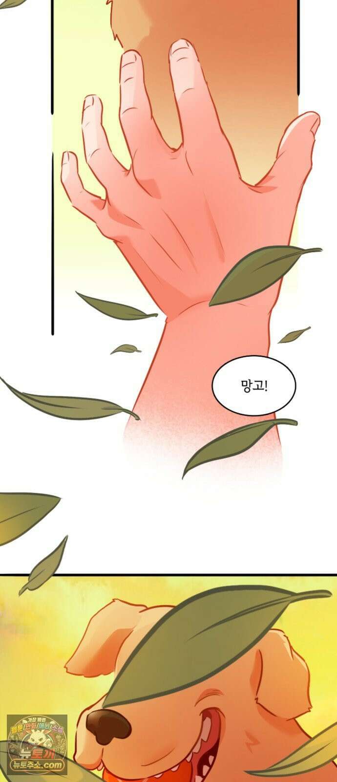 너랑 걷는 개 좋아 69화 3