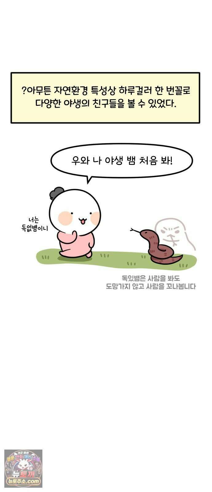 과학고 생존일지 41빵 야생의 OOO 출현! 11