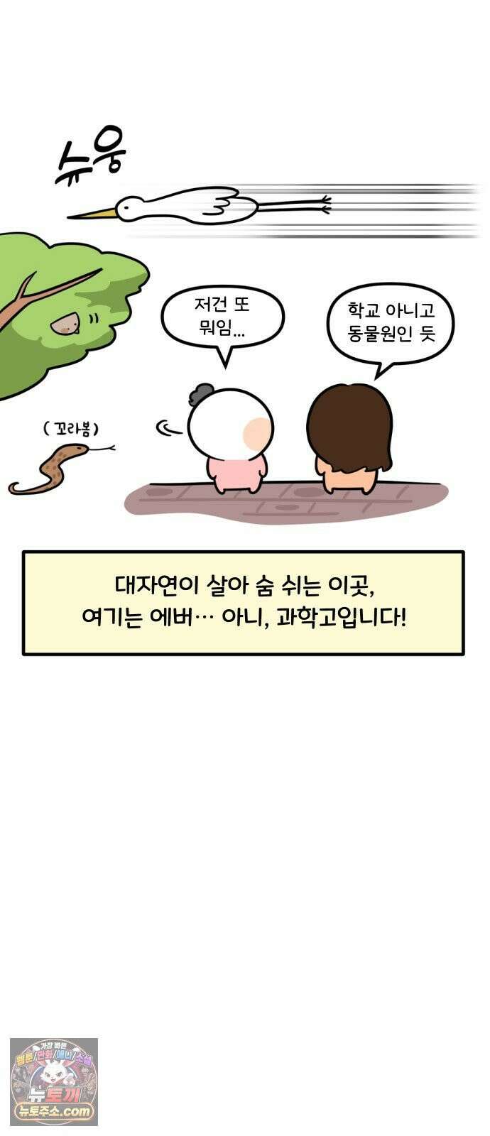 과학고 생존일지 41빵 야생의 OOO 출현! 34