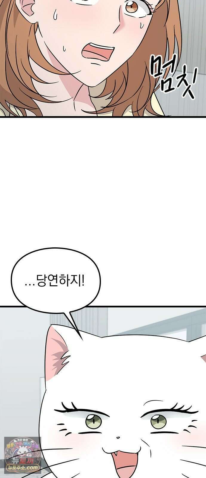 세상 사람들이 모두가 고양이라면 4화 13