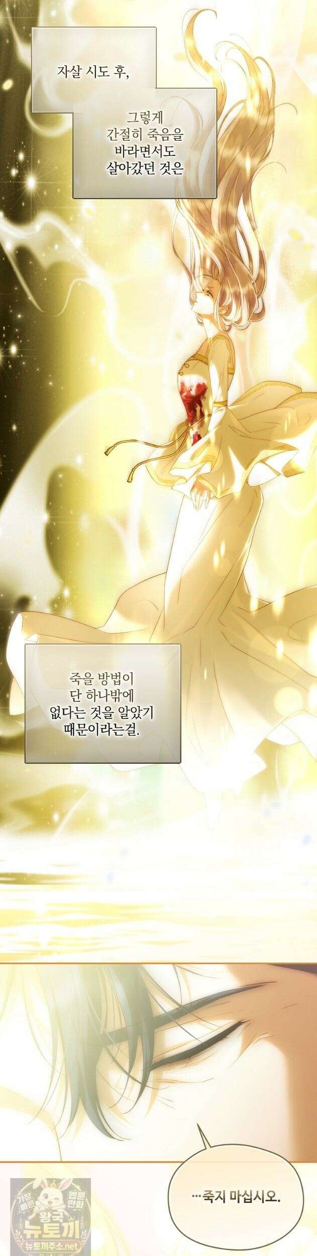 후원에 핀 제비꽃 97화 5