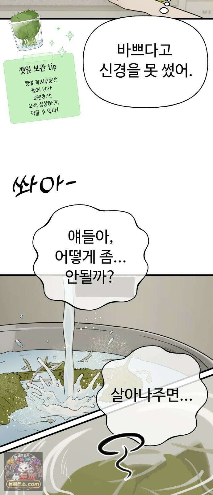 같이 장볼래? 1화 - 혼자 살면 채소가 상한다 25