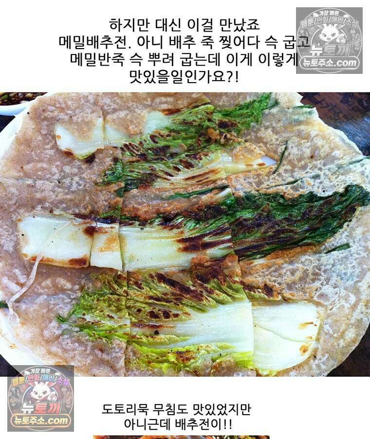 코알랄라 180화 배추전 47