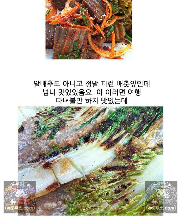 코알랄라 180화 배추전 48