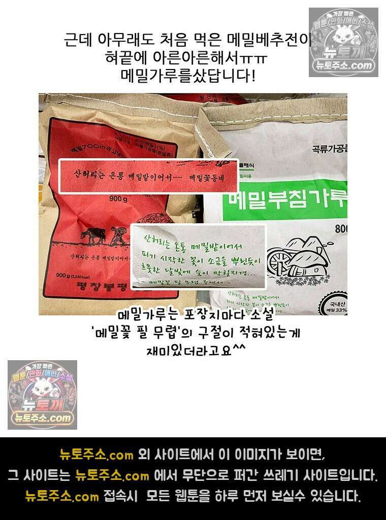 코알랄라 180화 배추전 51