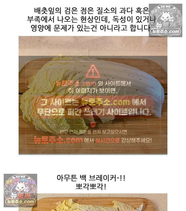 코알랄라 180화 배추전 52