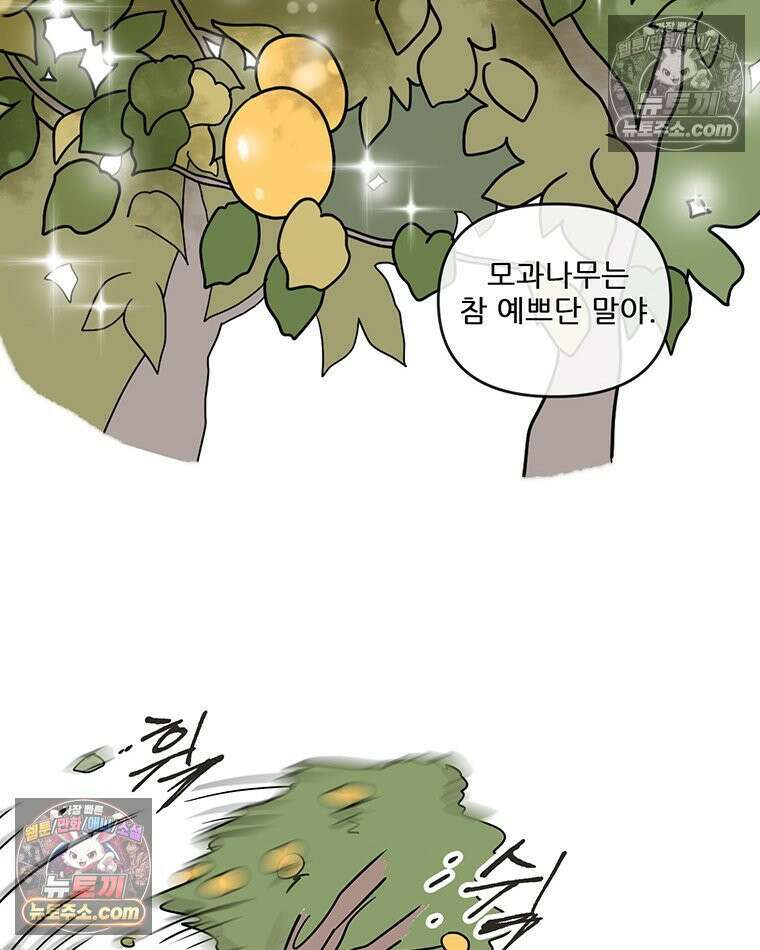 코알랄라 187화 모과생강차 8