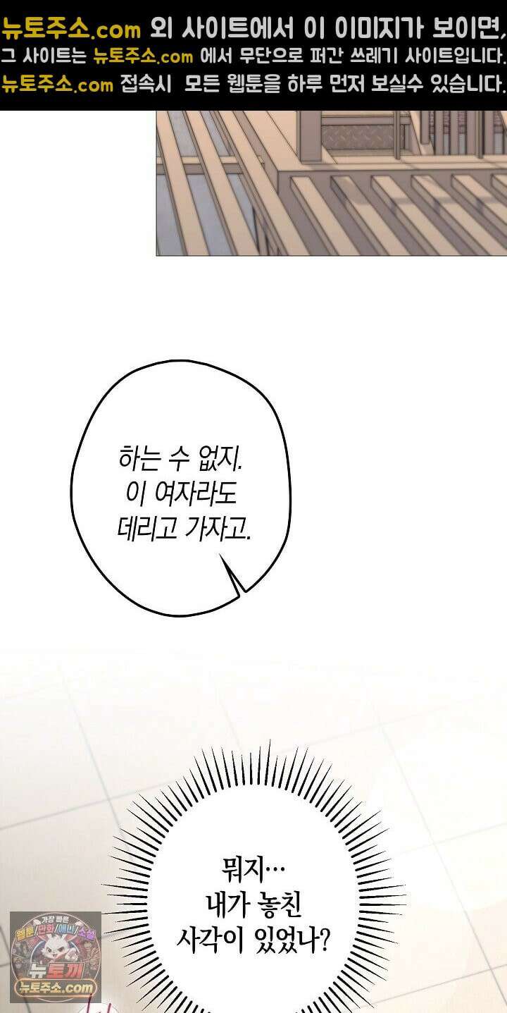 솔스티스 41화 17