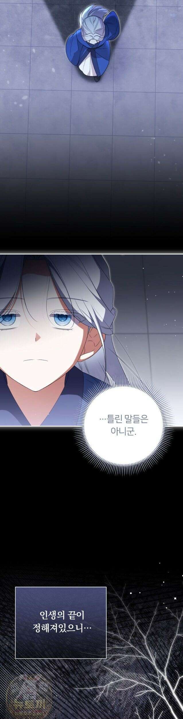 멍문세가를 호령하는 아기 고양이입니다 25화 7