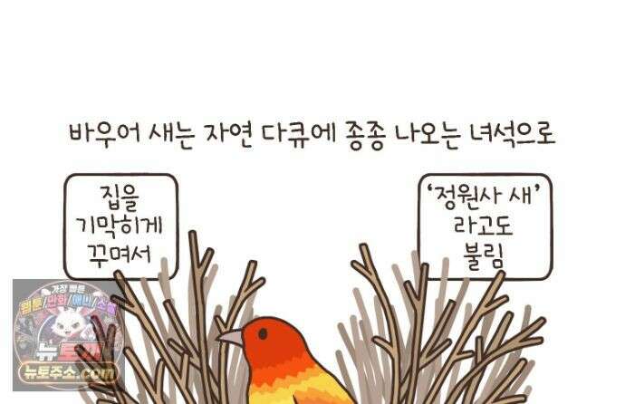 루나파크 일인용 우주 23화 집미새 탄생 6