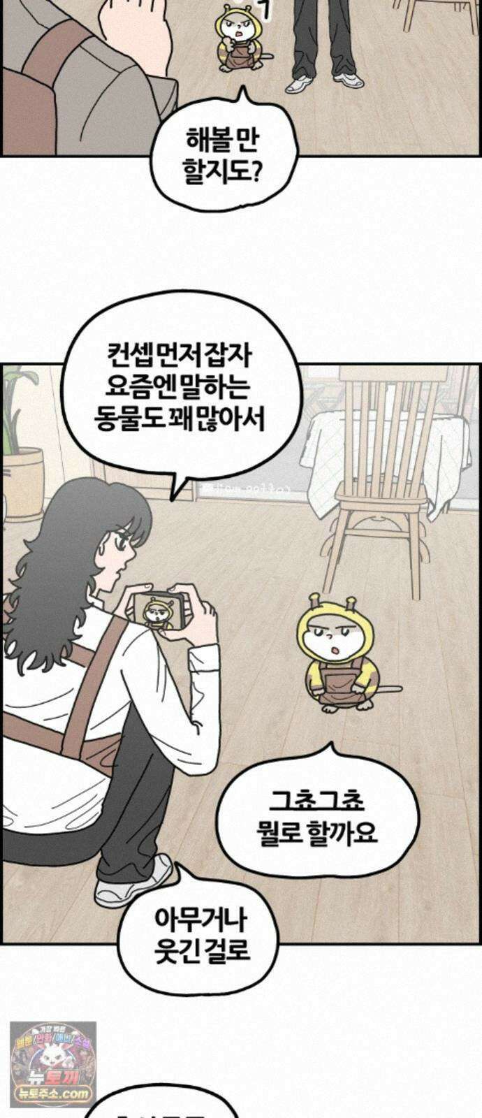 사회초년캣 15화 제안 3
